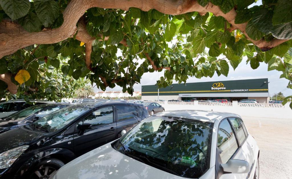 Apartamentos Els Romers Benicarló-Peñíscola Exterior foto